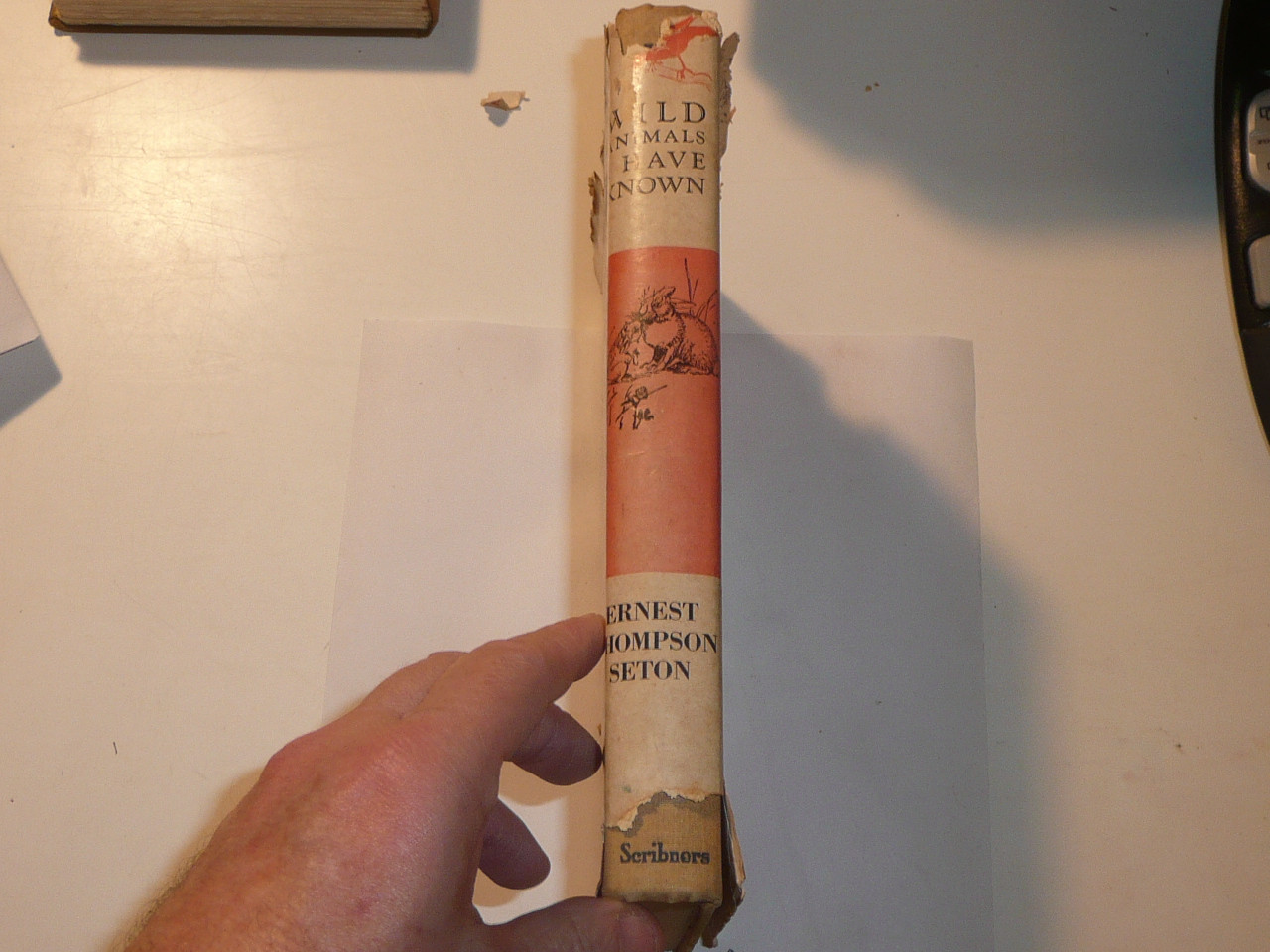 1942 Wild Animals I Have Known, By Ernest Thompson Seton, with dust jacket