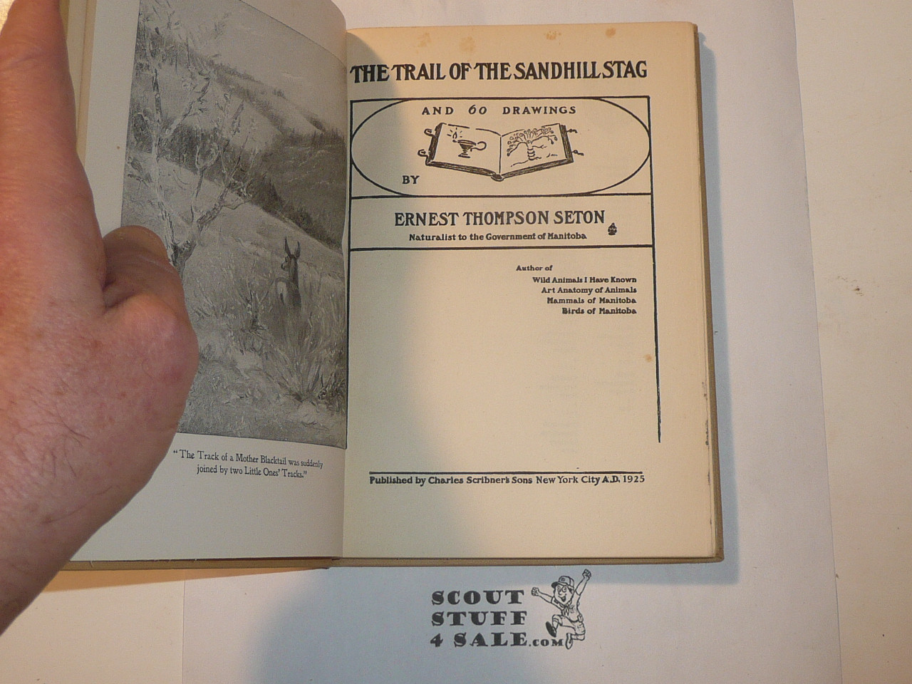1899 The Trail of the Sandhill Stag, By Ernest Thompson Seton, 1925 Fifteenth Printing