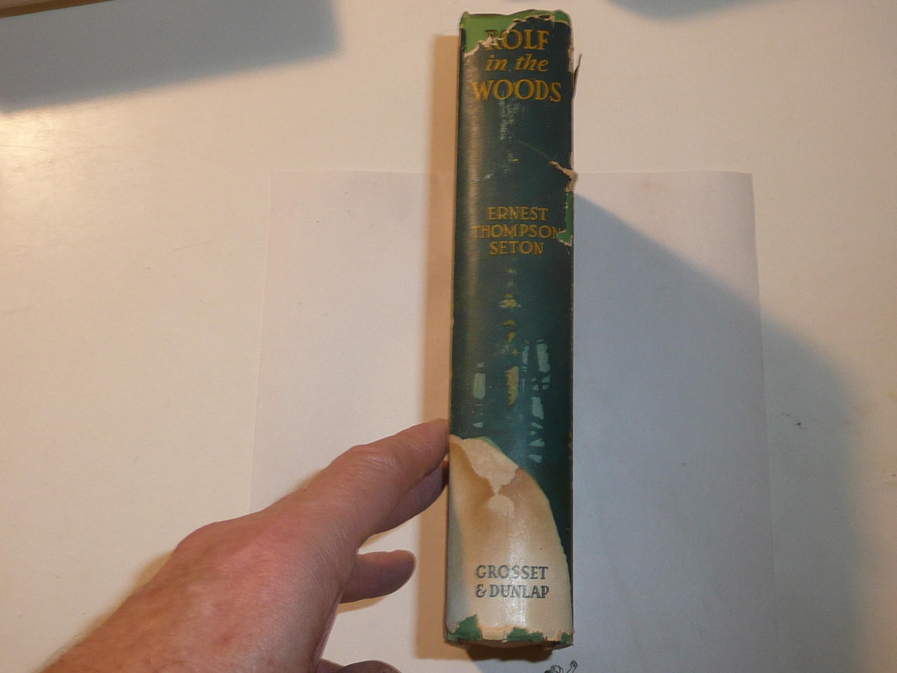 1911 Rolf in the Woods, By Ernest Thompson Seton, first printing, dedicated to the Boy Scouts of America with Dust Jacket