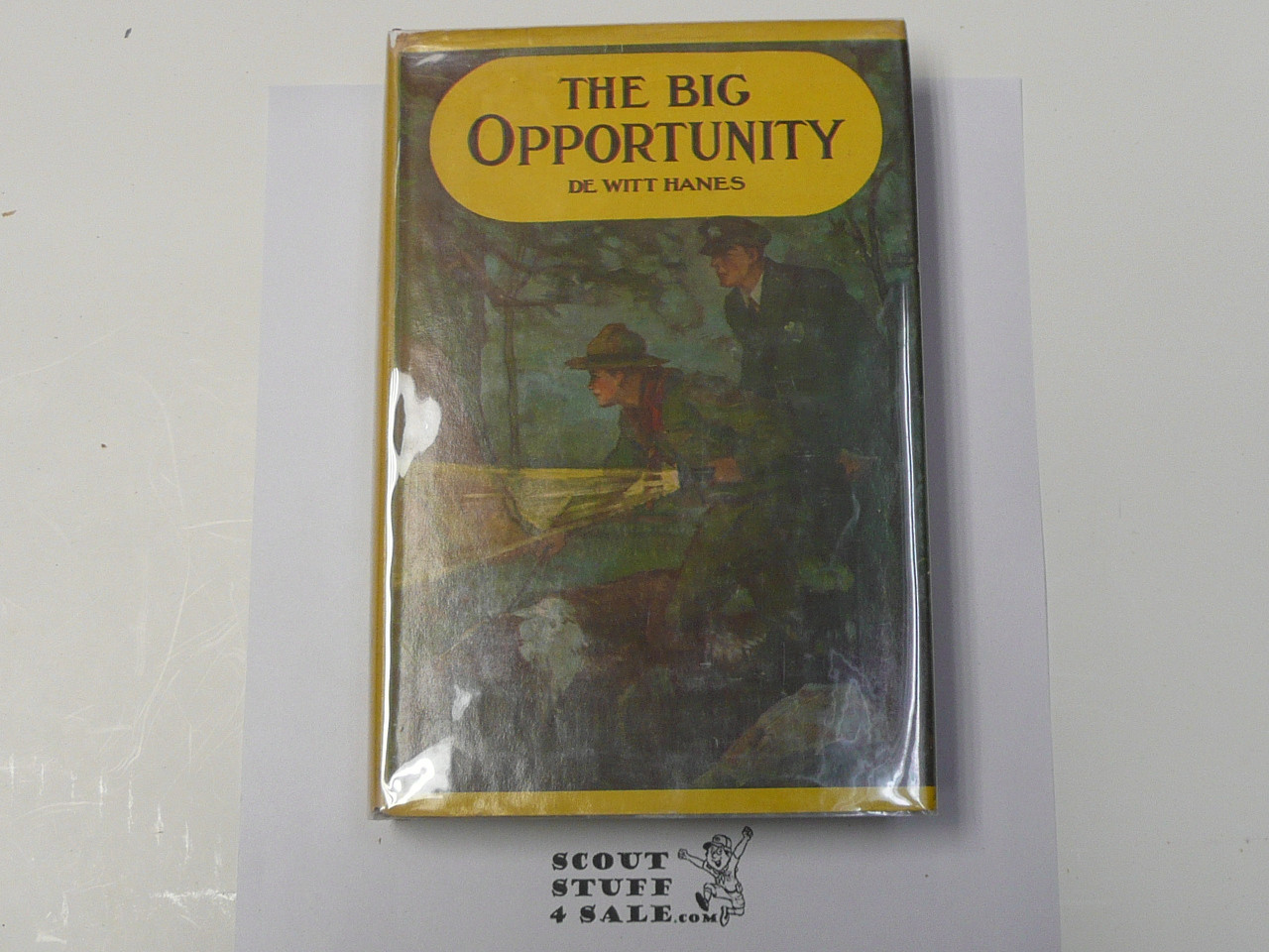 The Big Opportunity, By De Witt Hanes, 1934, Hardbound with dust jacket, Boy Scout Story Book