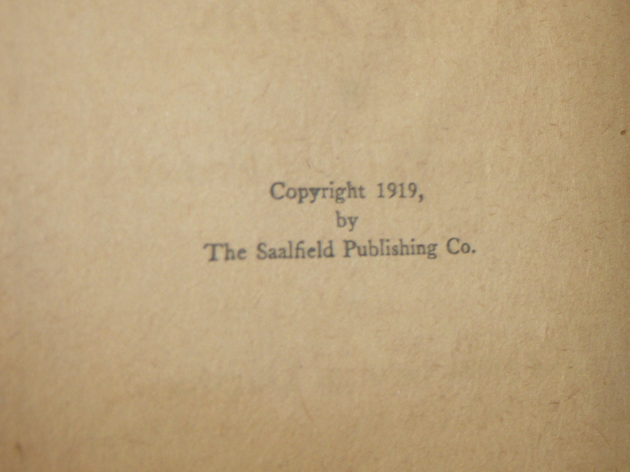 The Boy Scouts in the War Zone or On the Fields of France, By Colonel George Durston, 1919, Boy Scout Series Volume 16, shows wear