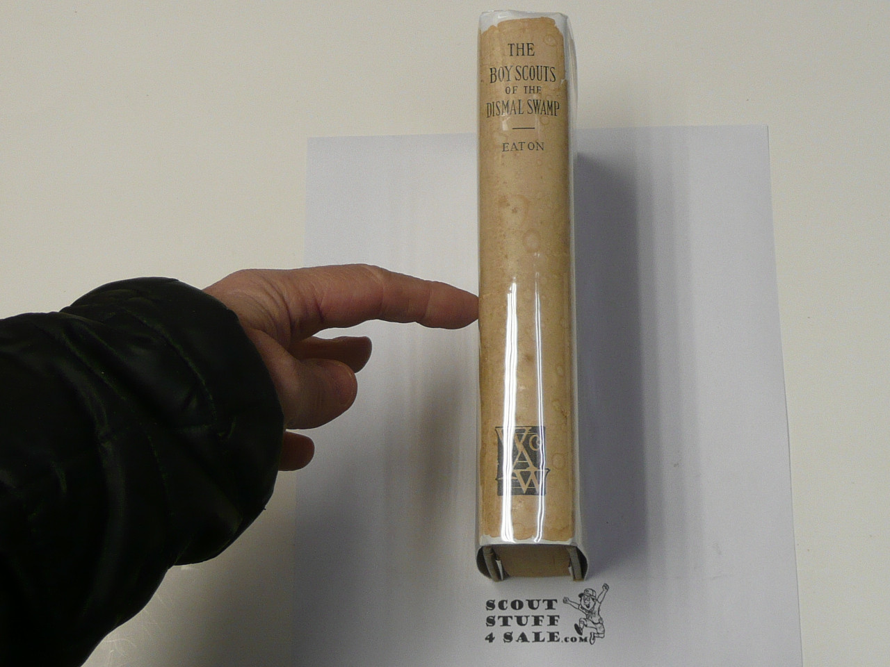 The Boy Scouts of the Dismal Swamp, By Walter Prichard Eaton, 1913 First Edition, Hardbound with Dust Jacket, Boy Scout Story Book