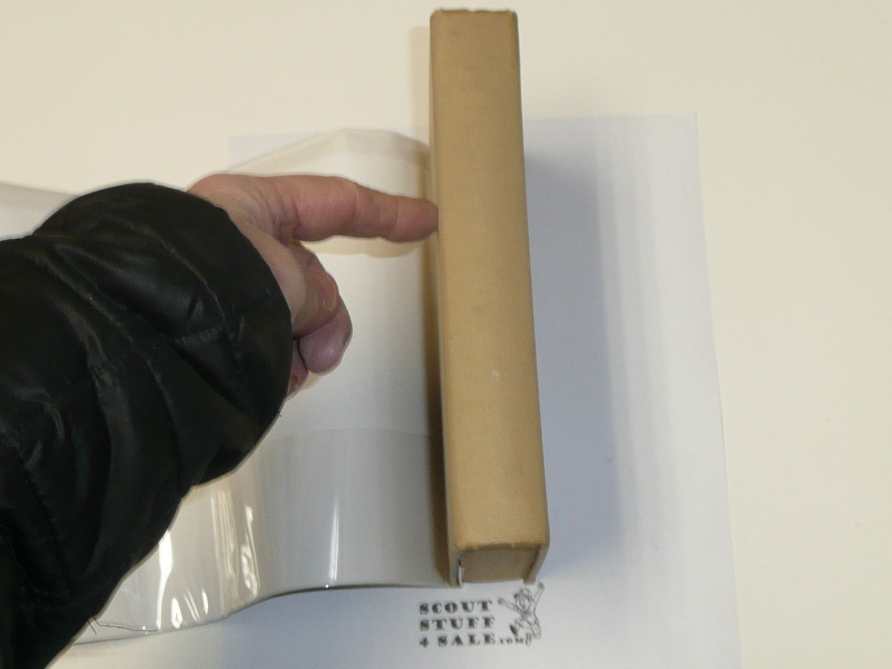 The Boy Scouts of the Dismal Swamp, By Walter Prichard Eaton, 1913 First Edition, Hardbound with Dust Jacket, Boy Scout Story Book