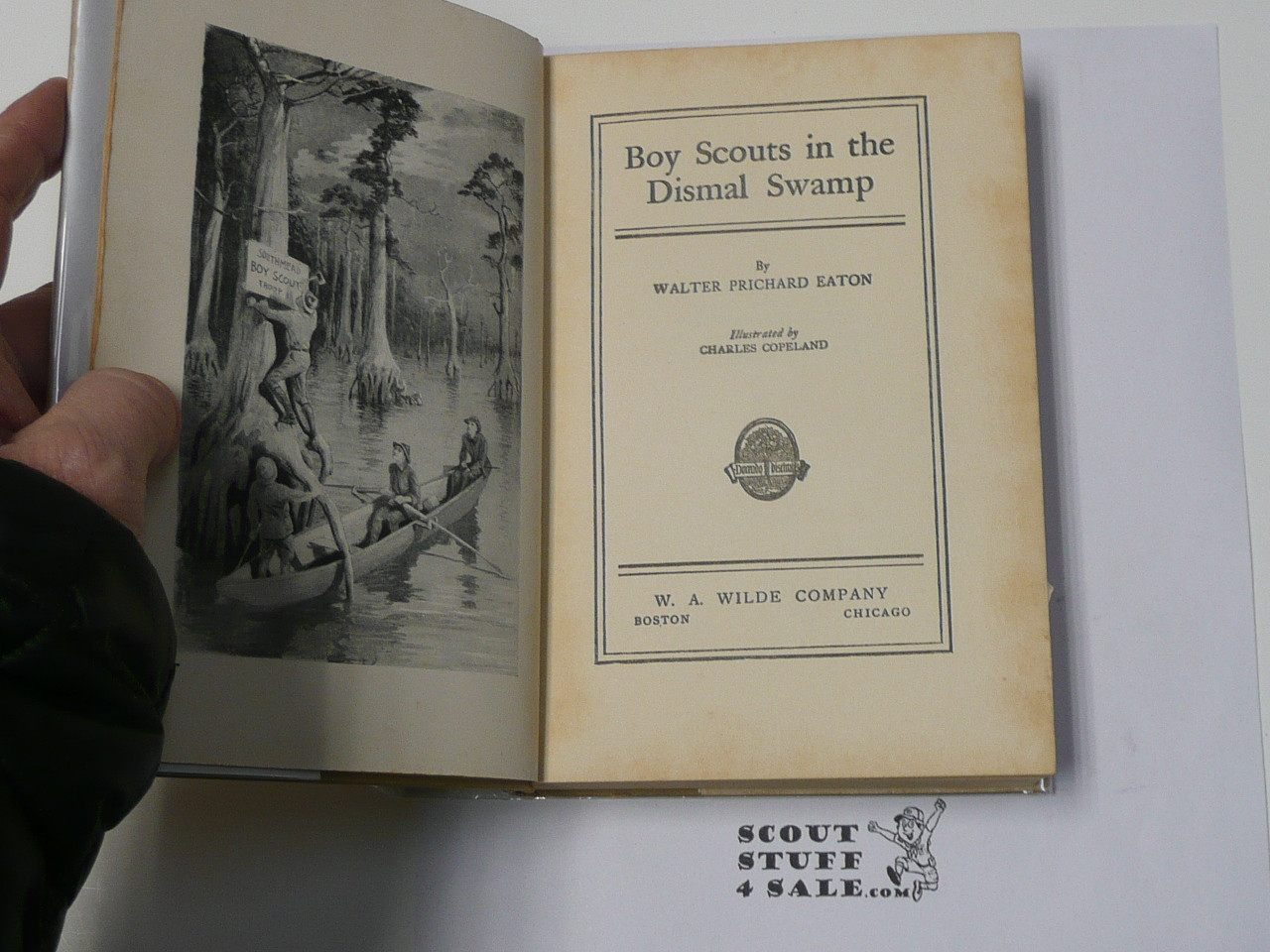 The Boy Scouts of the Dismal Swamp, By Walter Prichard Eaton, 1913 First Edition, Hardbound with Dust Jacket, Boy Scout Story Book