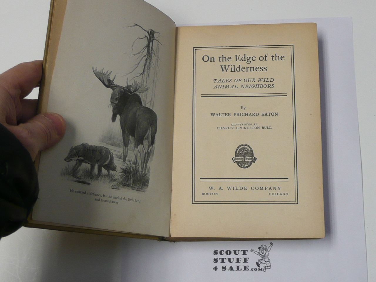 On The Edge of the Wilderness - Tales of Our Wild Animal Neighbors, By Walter Prichard Eaton, 1920 First Edition, Hardbound, Boy Scout Story Book