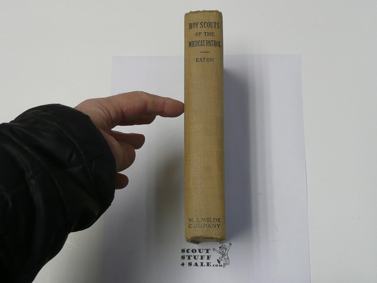 Boy Scouts of the Wildcat Patrol, By Walter Prichard Eaton, 1915 First Edition, Hardbound, Boy Scout Story Book