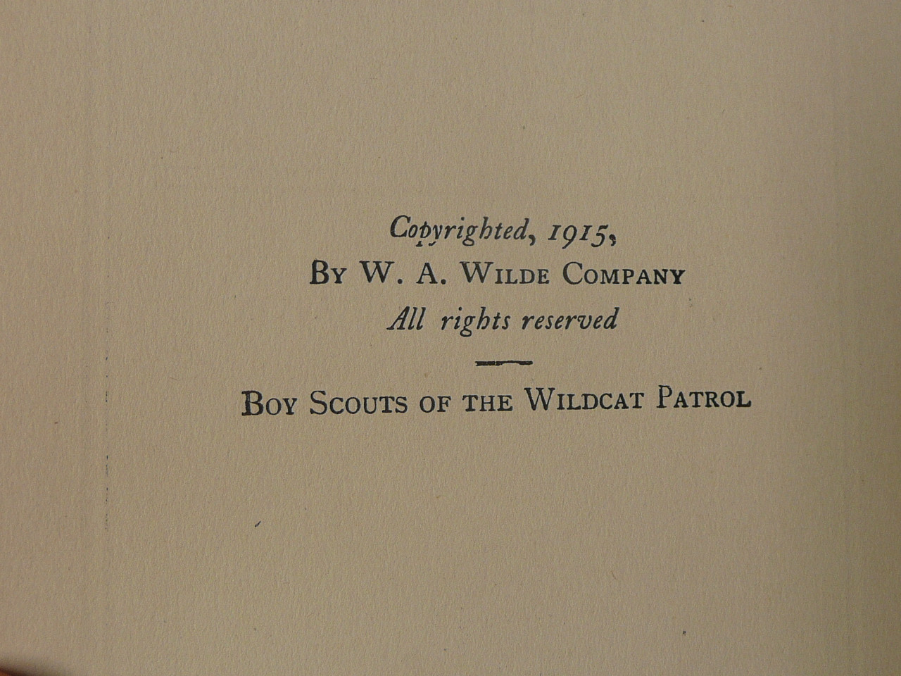Boy Scouts of the Wildcat Patrol, By Walter Prichard Eaton, 1915 First Edition, Hardbound, Boy Scout Story Book