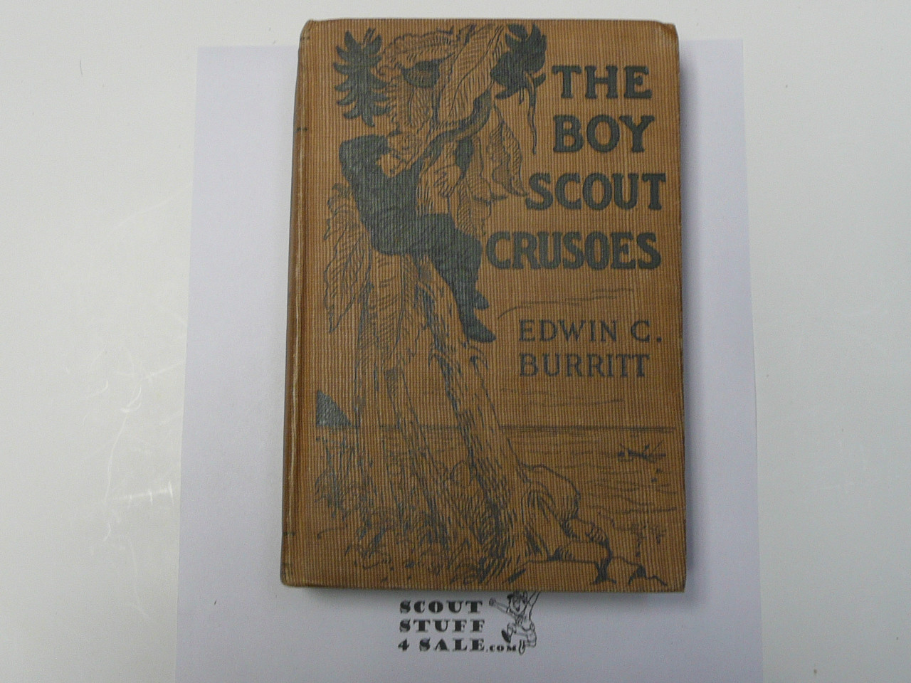 The Boy Scout Crusoes, By Edwin C. Burritt, 1916, Boy Scout Story Book