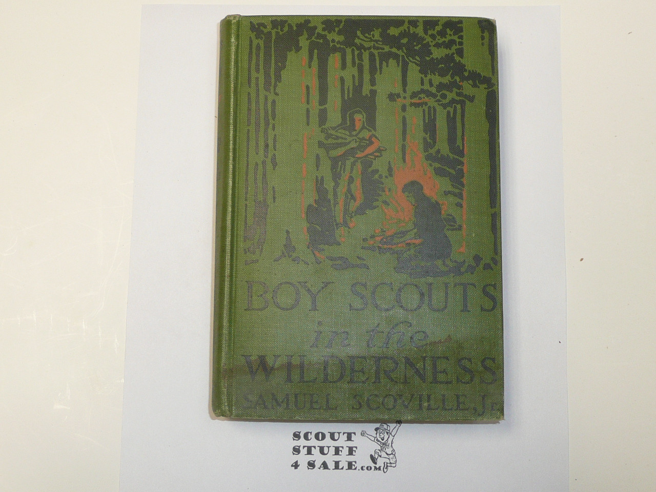 Boy Scouts in the Wilderness, by Samuel Scoville Jr., 1919 First Edition, Hardbound, Boy Scout Story Book