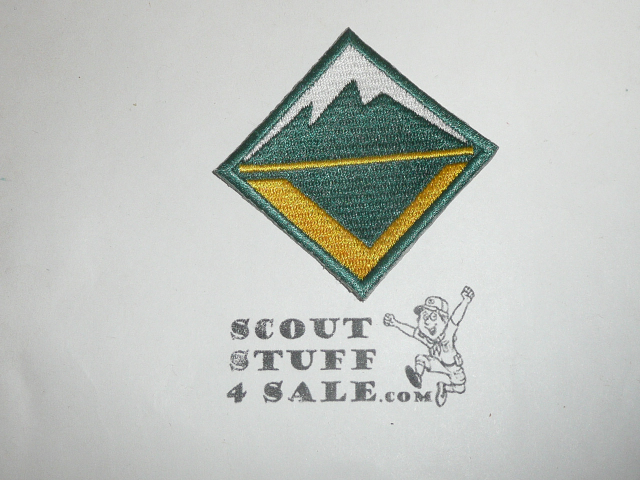 Venturing BSA Logo Patch