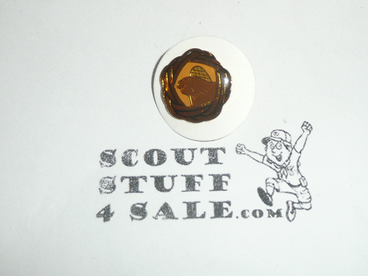 Wood Badge Beaver Woggle Pin