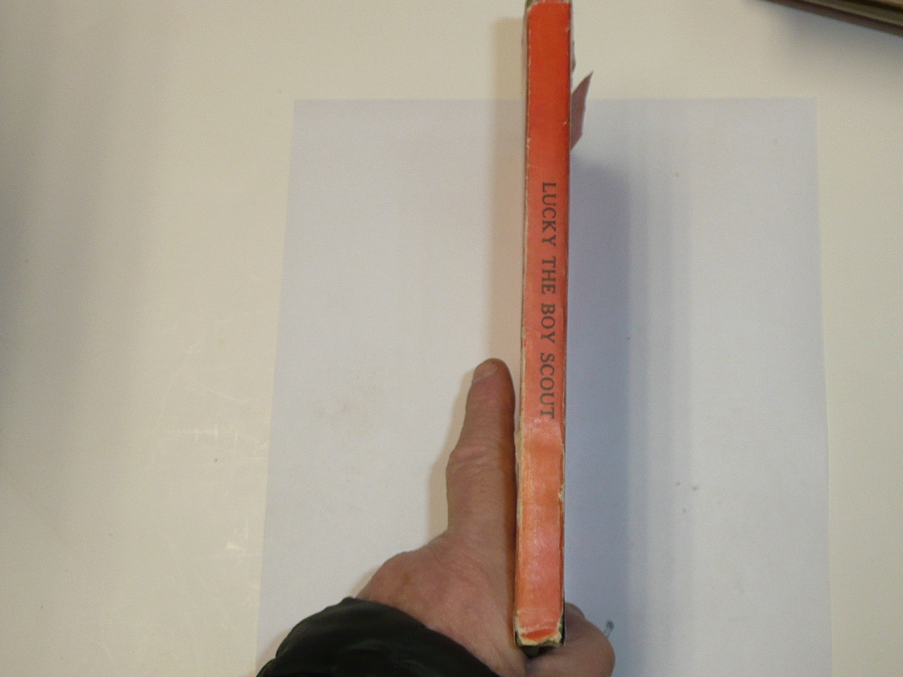 Lucky The Boy Scout, by Elmer Sherwood, 1916, Hardbound with Dust Jacket, Boy Scout Story Book