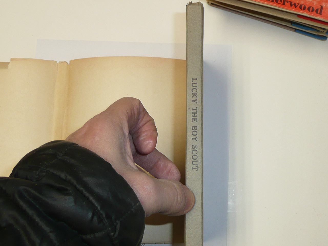 Lucky The Boy Scout, by Elmer Sherwood, 1916, Hardbound with Dust Jacket, Boy Scout Story Book