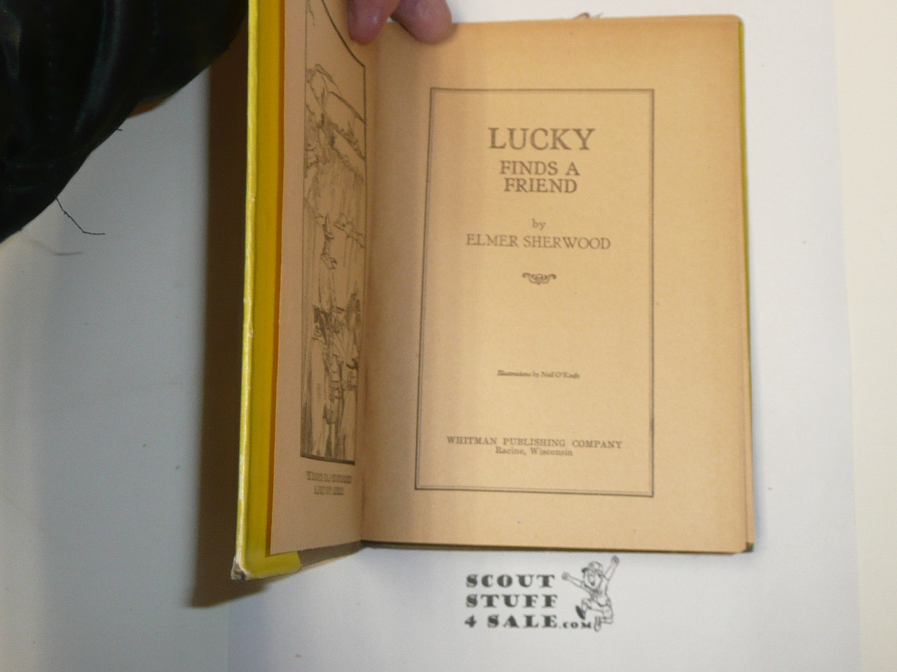 Lucky Finds a Friend, by Elmer Sherwood, 1922, Hardbound with Dust Jacket, Boy Scout Story Book
