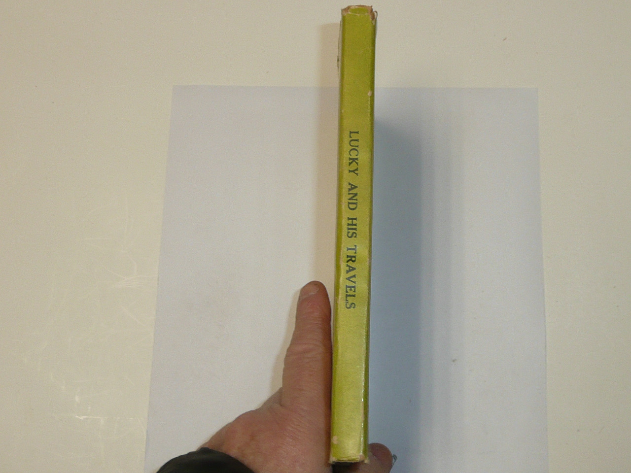 Lucky and His Travels, by Elmer Sherwood, 1922, Hardbound with Dust Jacket, Boy Scout Story Book