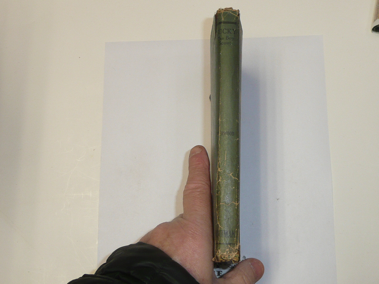 Lucky The Boy Scout, by Elmer Sherwood, 1917, Hardbound with Dust Jacket, Boy Scout Story Book