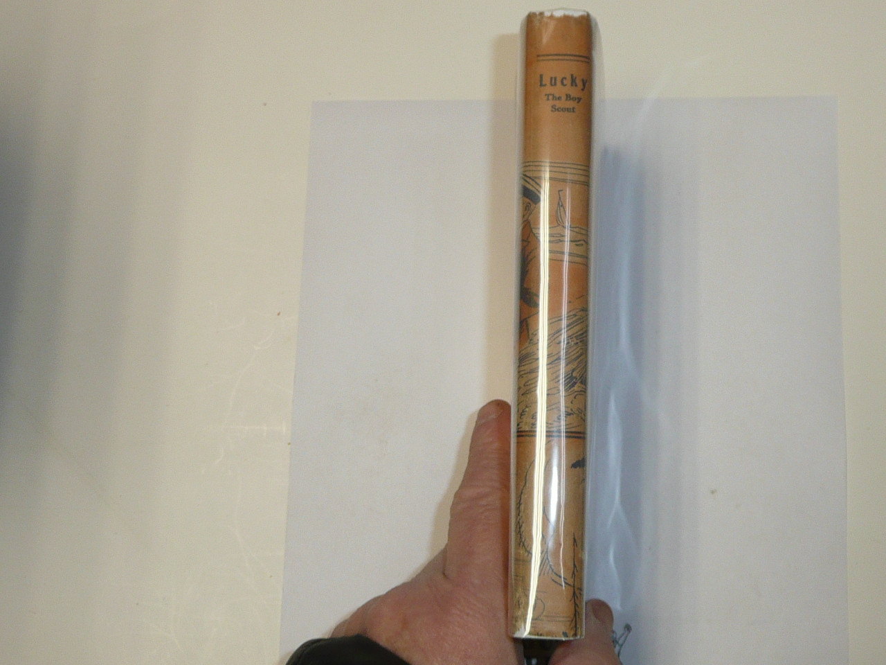 Lucky The Boy Scout, by Elmer Sherwood, 1916, Hardbound with Dust Jacket, Boy Scout Story Book