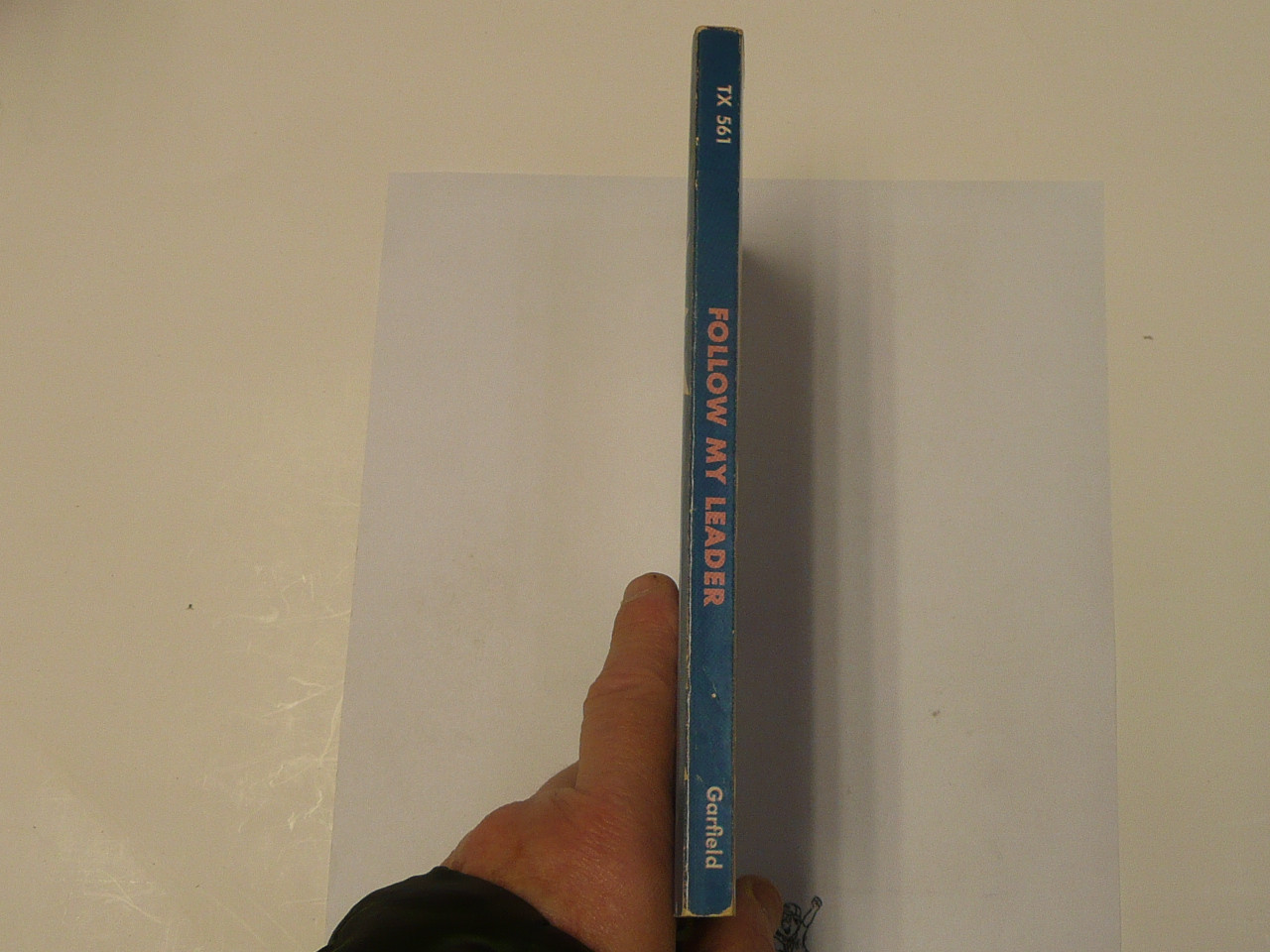 Follow My Leader, by James B. Garfield, 1966, Boy Scout Story Book