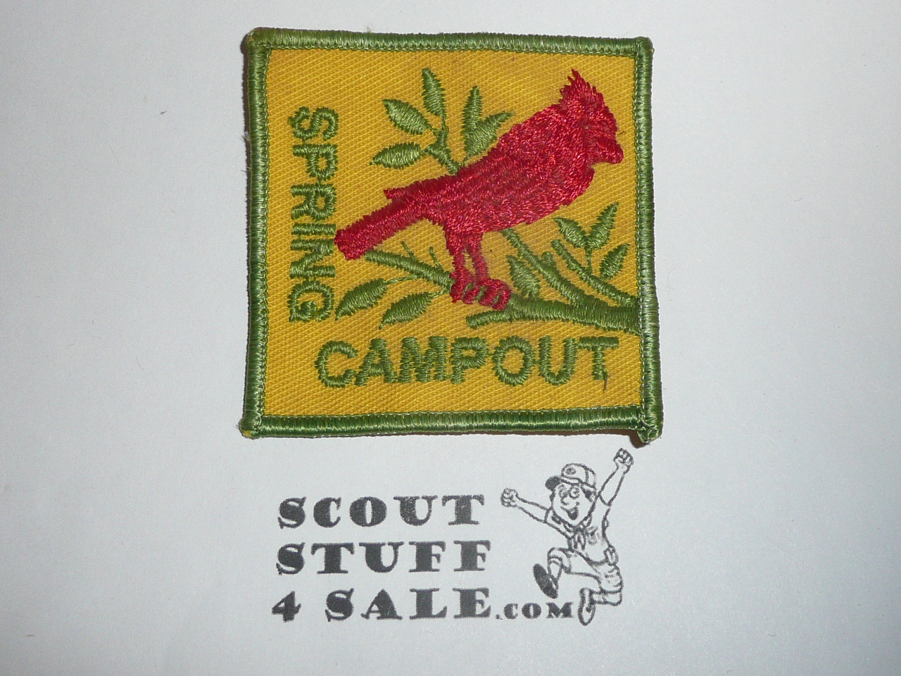 Spring Campout, BSA Generic Patch, yellow twill with grn bdr
