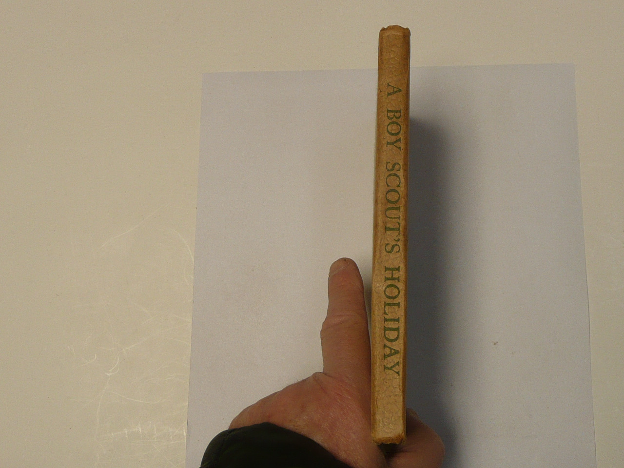 A Boy Scouts' Holiday, by Edward Griggs, 1921 First Edition, Hardbound, Boy Scout Story Book
