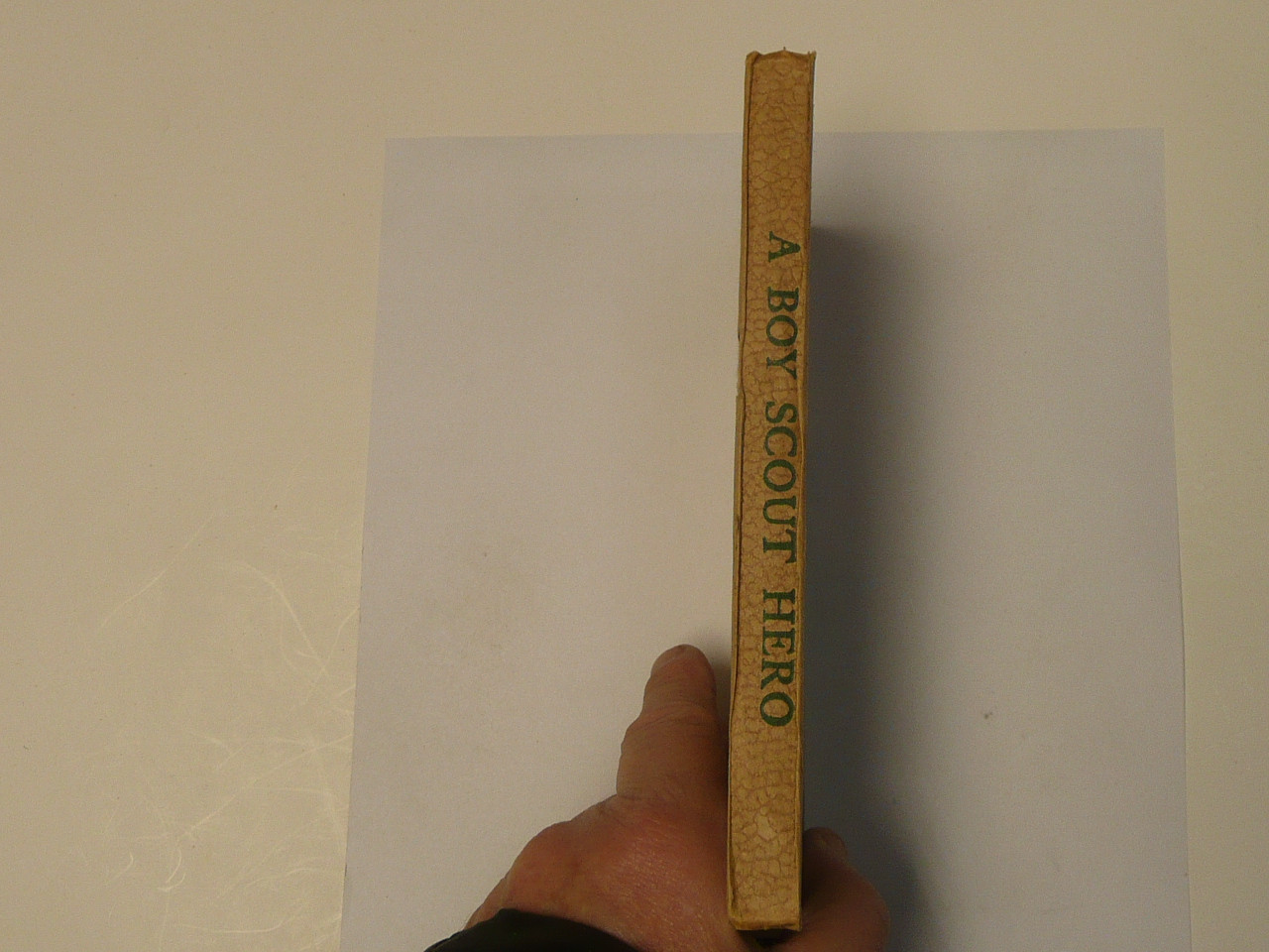 A Boy Scout Hero, by Edward Griggs, 1921 First Edition, Hardbound, Boy Scout Story Book