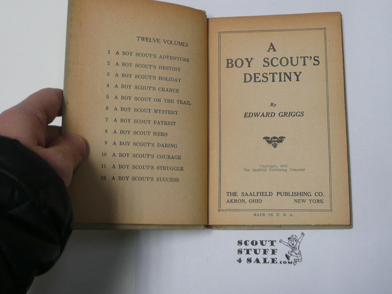 A Boy Scout's Destiny, by Edward Griggs, 1921 First Edition, Hardbound, Boy Scout Story Book