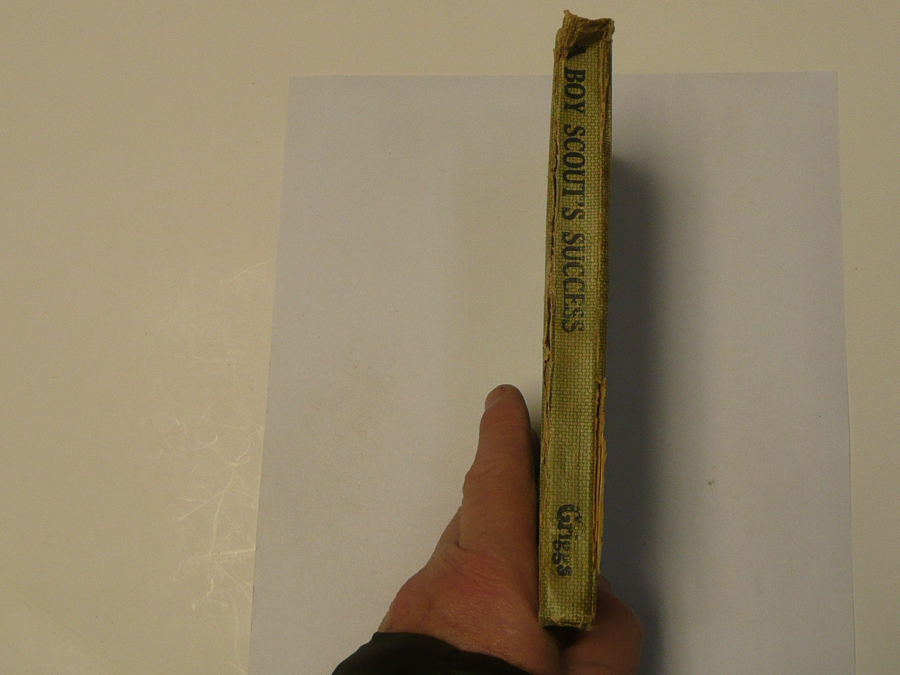 A Boy Scout's Success, by Edward Griggs, 1921 First Edition, Hardbound, Boy Scout Story Book