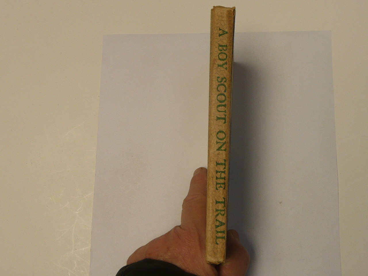 A Boy Scout opn the Trail, by Edward Griggs, 1921 First Edition, Hardbound, Boy Scout Story Book