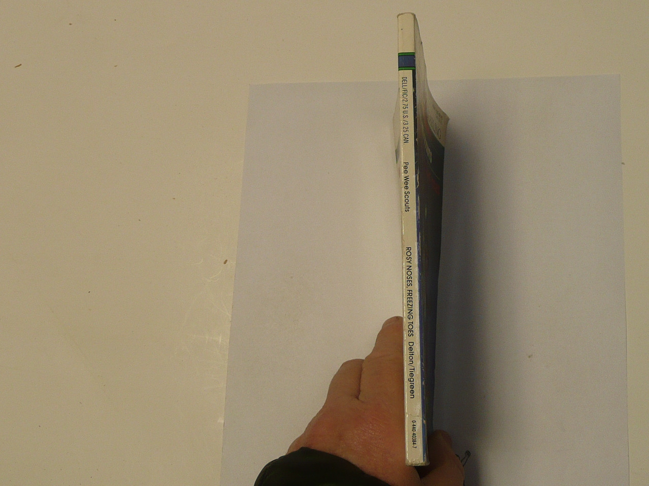 Pee Wee ScoutsRosy Noses Freezing Toes, by Judy Delton, 1990 First Edition, Boy Scout Story Book