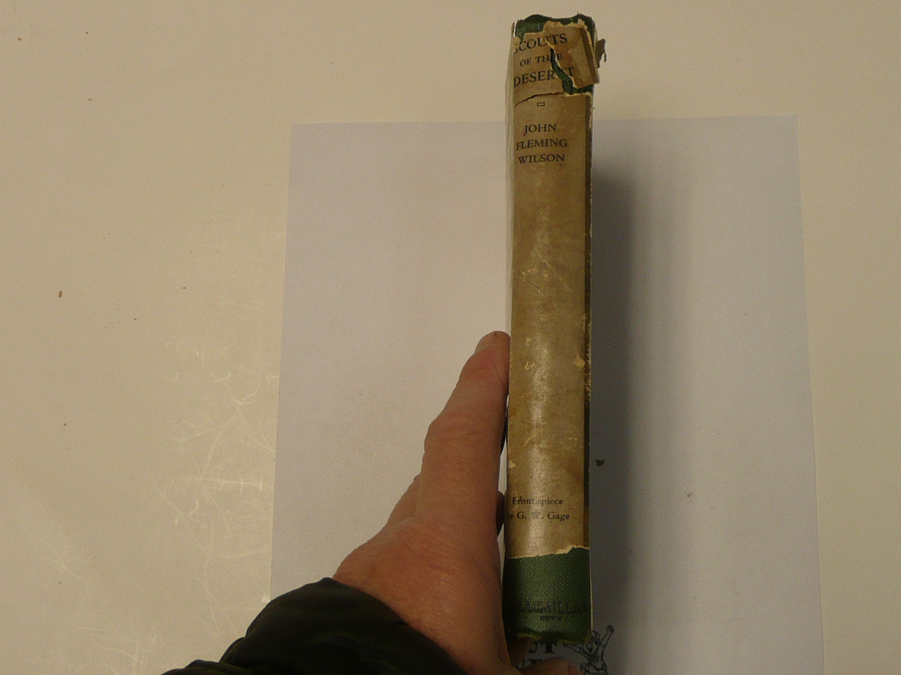 Scouts of the Desert, By John Fleming Wilson, 1920 First Printing, Hardbound with Dust Jacket, Boy Scout Story Book