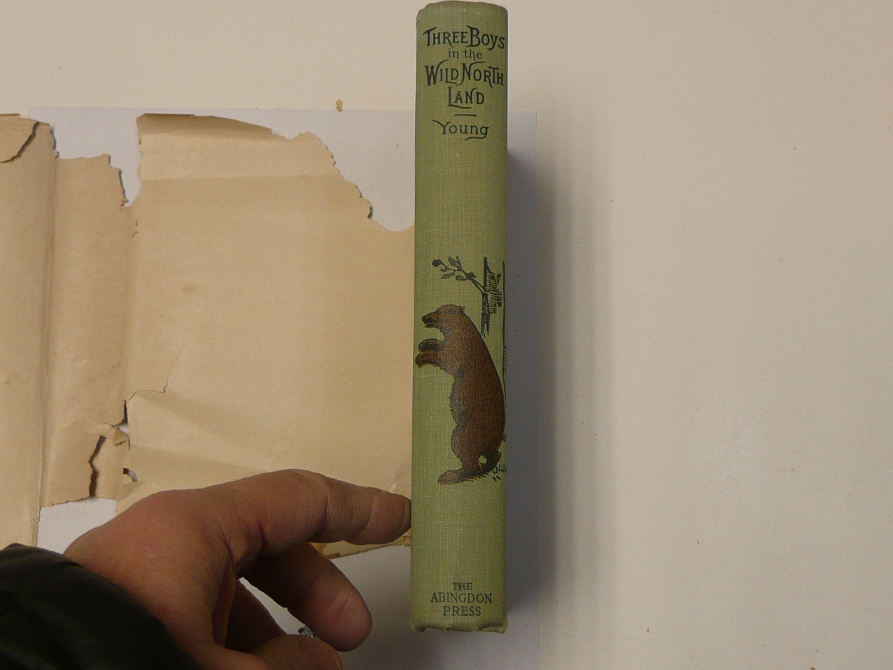 Three Boys in the Wild North Land, By Egerton R. Young, 1896, Hardbound with Dust Jacket, Youth Story Book, Dust Jacket has a Boy Scout on the Cover