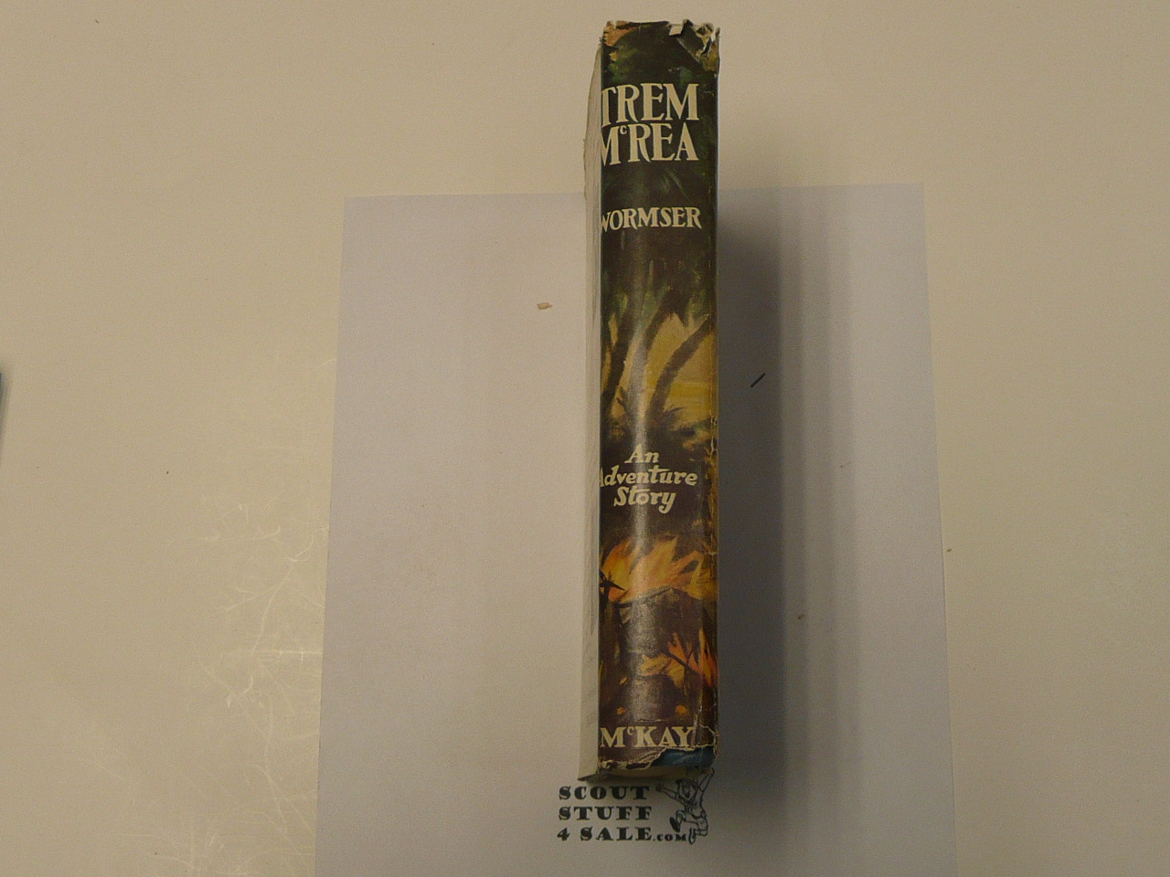 Trem McRea and the Golden Cinders, By Richard Wormser, 1940 First Printing, Hardbound with Dust Jacket, Boy Scout Story Book