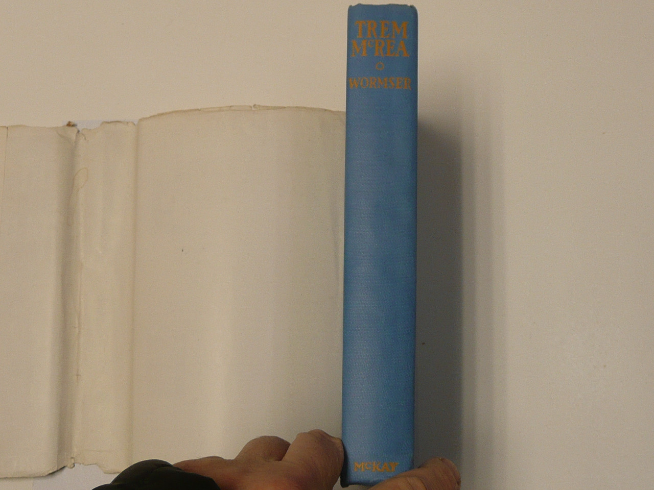 Trem McRea and the Golden Cinders, By Richard Wormser, 1940 First Printing, Hardbound with Dust Jacket, Boy Scout Story Book