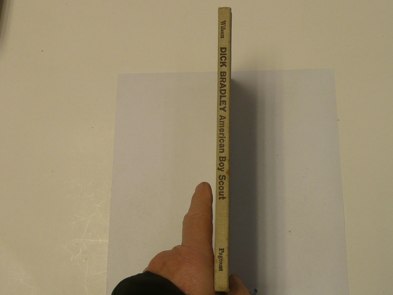 Dick Bradley American Boy Scout, by Helen Wilson, 1960 First Edition, Hardbound, Boy Scout Story Book