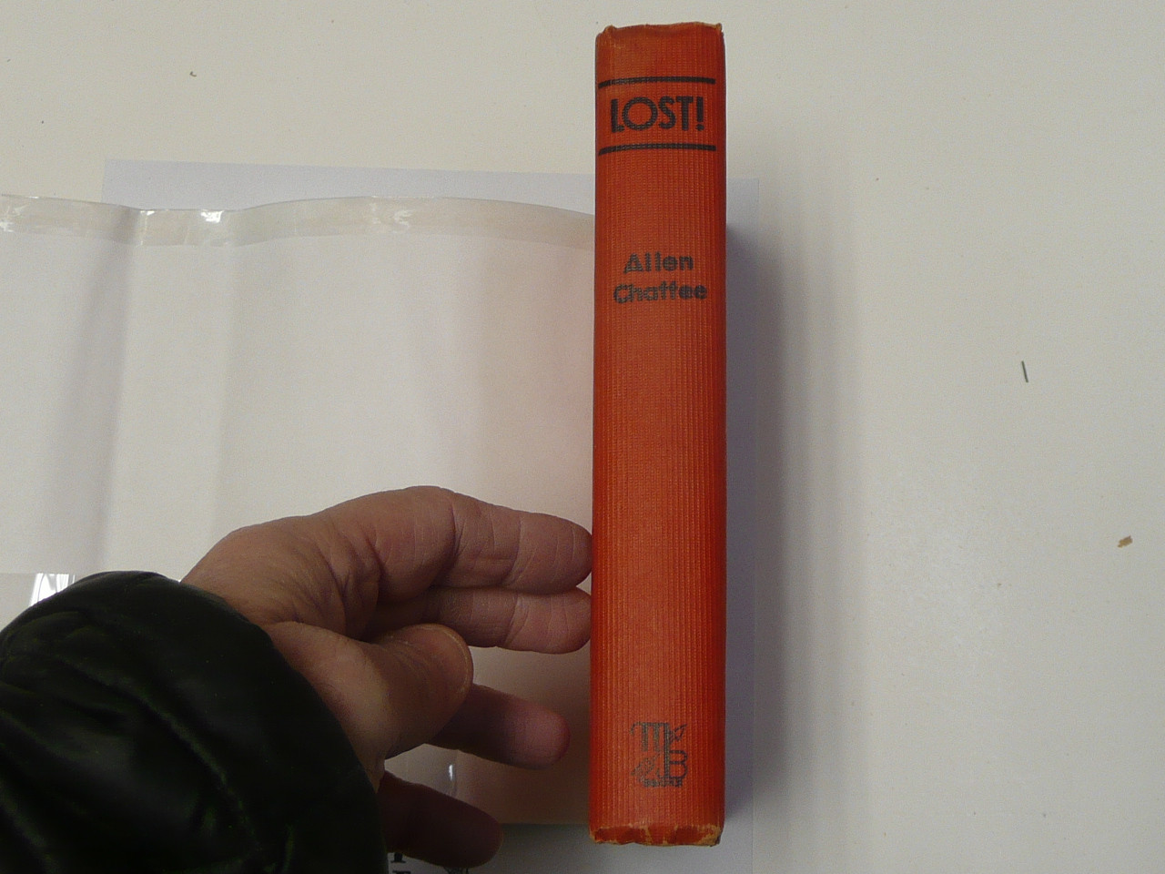 LOST! Two Boys Battle With the Elements, By Allen Chaffee, Hardbound with Dust Jacket, Boy Scout Story Book
