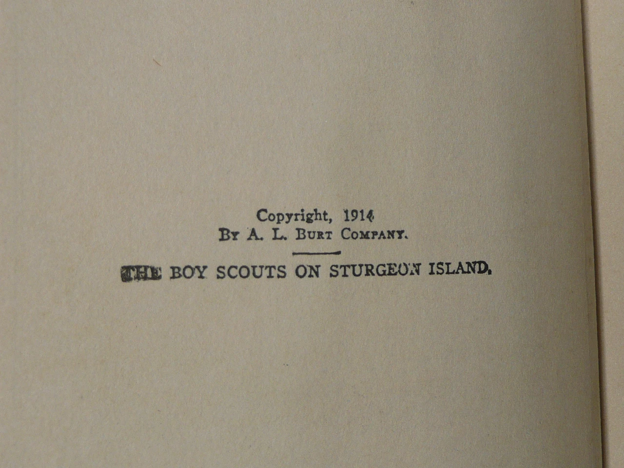 The Boy Scouts on Sturgeon Island, By Herbert Carter, 1914 First Edition, Hardbound with Dust Jacket, Boy Scout Story Book