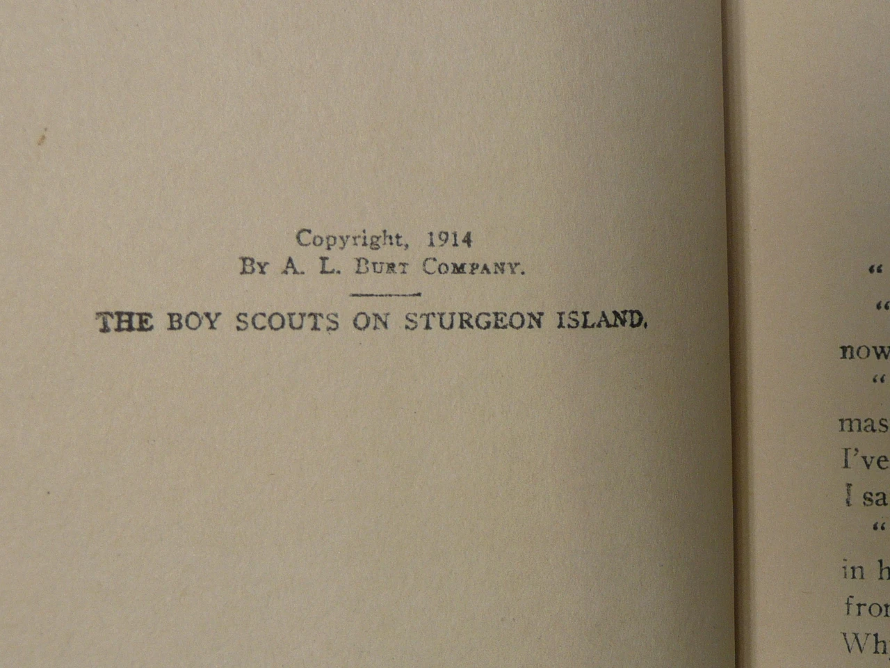 The Boy Scouts on Sturgeon Island, By Herbert Carter, 1914 First Edition, Hardbound with Dust Jacket, Boy Scout Story Book #2