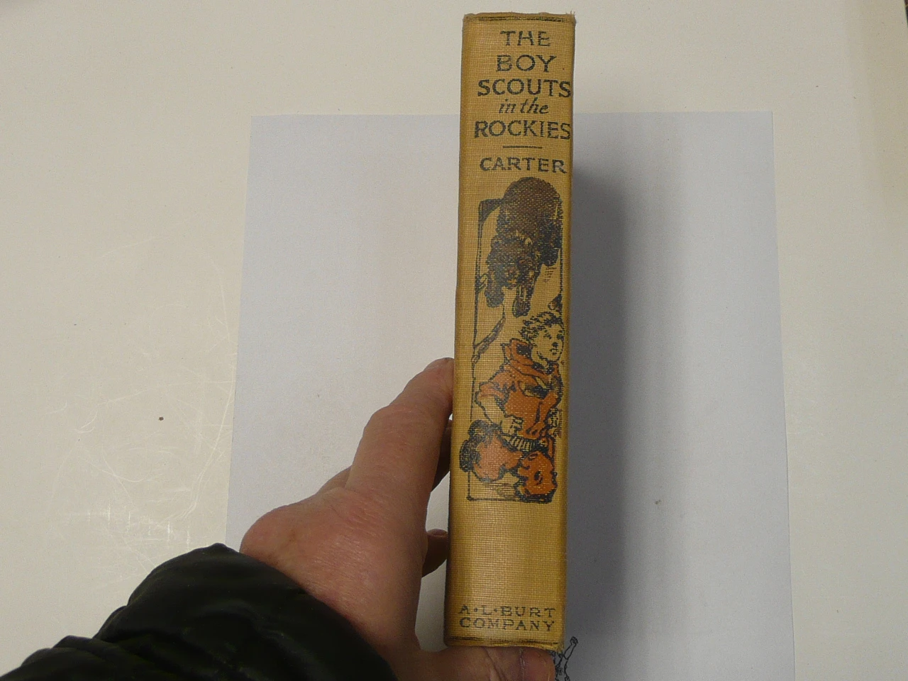 The Boy Scouts in the Rockies, By Herbert Carter, 1913 First Edition, Hardbound, Boy Scout Story Book
