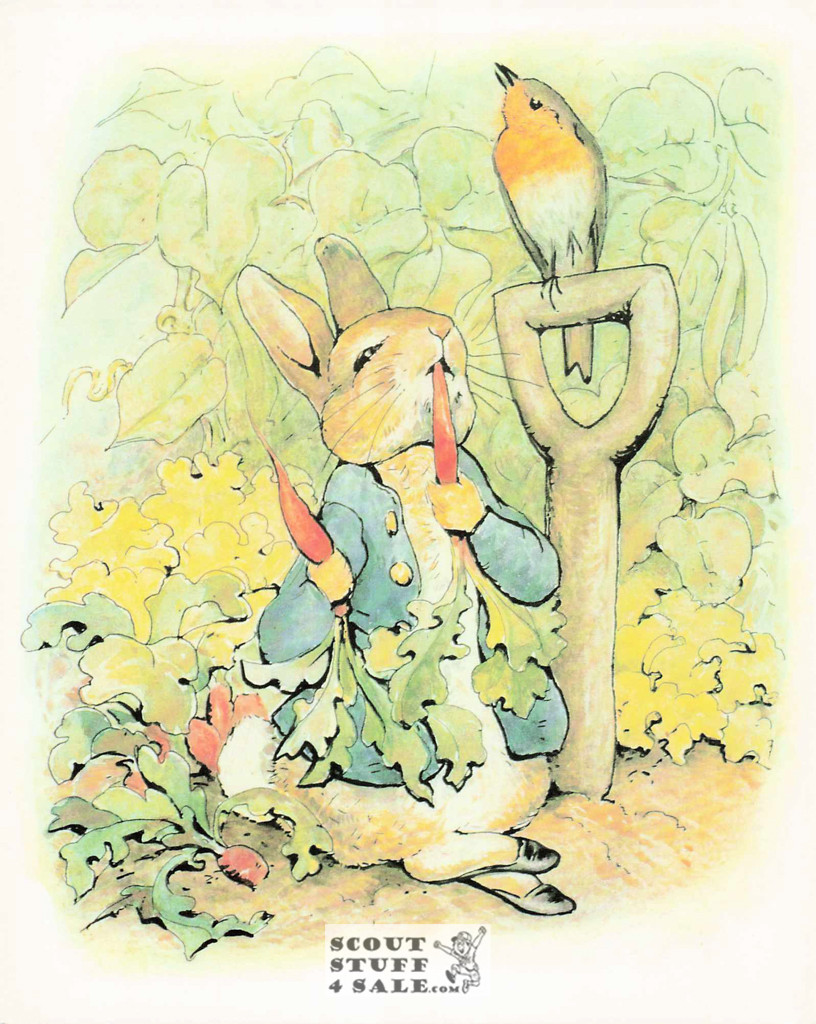 Tale of Peter Rabbit Beatrix Potter Postcard Classico SF #206-002, 8x10"