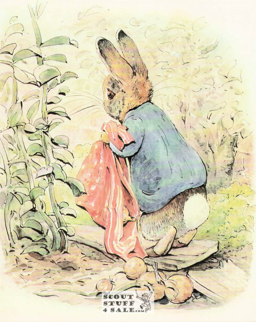 Tale of Benjamin Bunny Beatrix Potter Postcard Classico SF #206-011, 8x10"