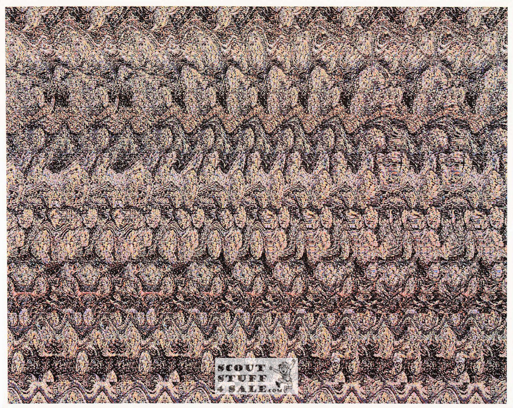 Skull Magic Eye 3D Optical Illusion Postcard, Classico SF #528-002, 8x10"