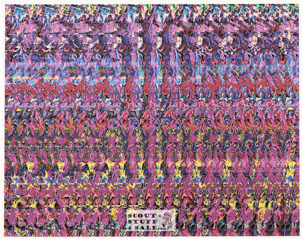 Spider in Web Magic Eye 3D Optical Illusion Postcard, Classico SF #528-018, 8x10"