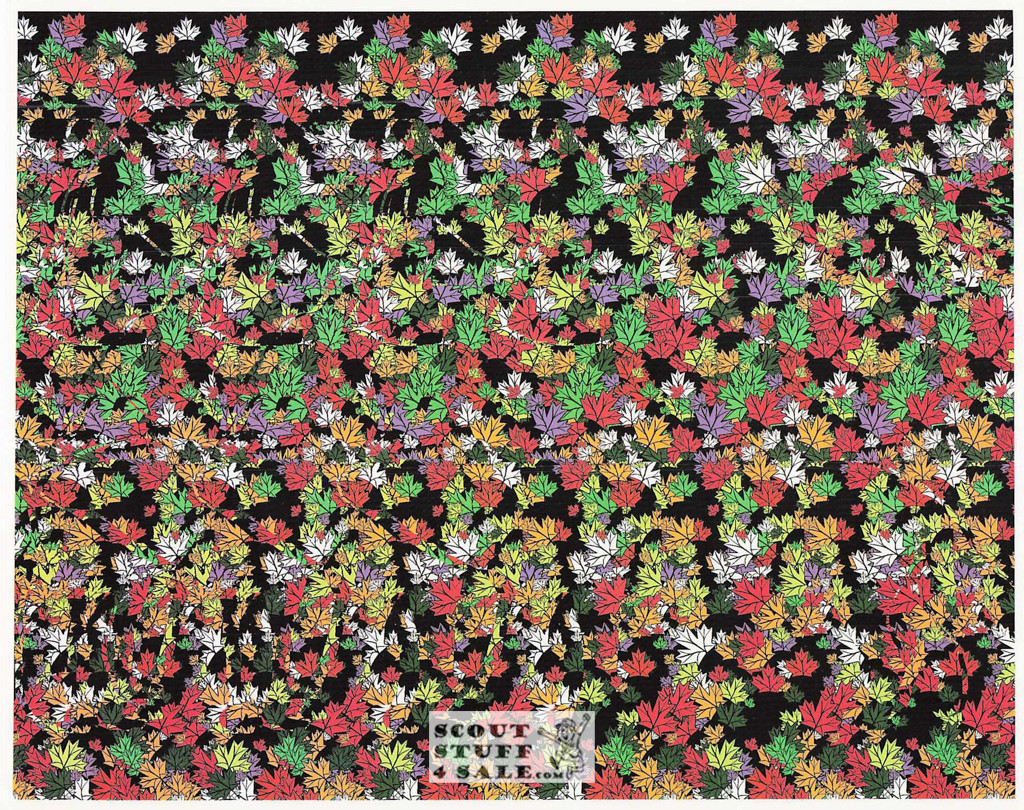 Nature Magic Eye 3D Optical Illusion Postcard, Classico SF #528-019, 8x10"