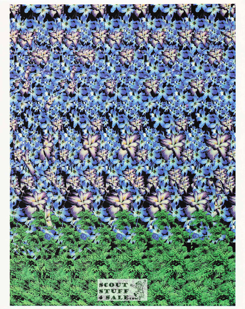 Garden of Eden Magic Eye 3D Optical Illusion Postcard, Classico SF #528-021, 8x10"