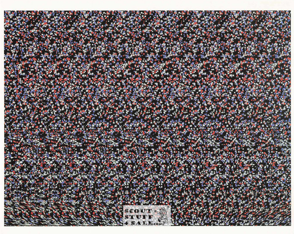 Suburban America Magic Eye 3D Optical Illusion Postcard, Classico SF #528-022, 8x10"