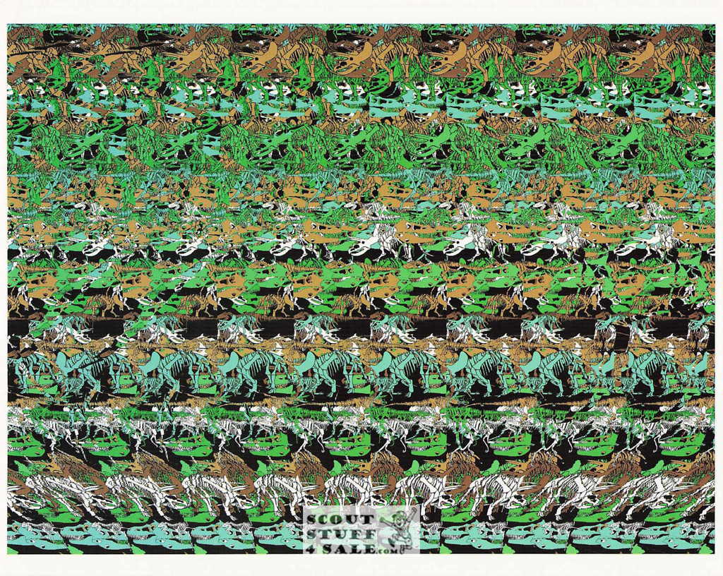 Magic Eye 3D Optical Illusion Postcard, Classico SF #528-026, 8x10"