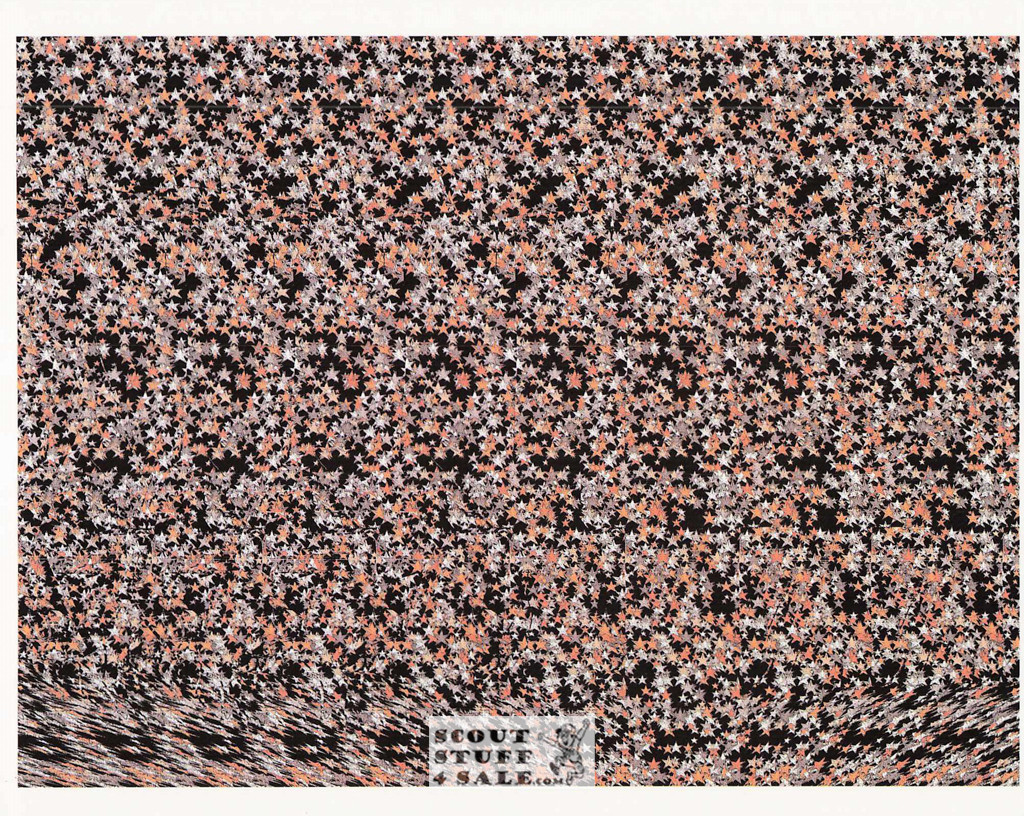 Lynx Magic Eye 3D Optical Illusion Postcard, Classico SF #528-037, 8x10"