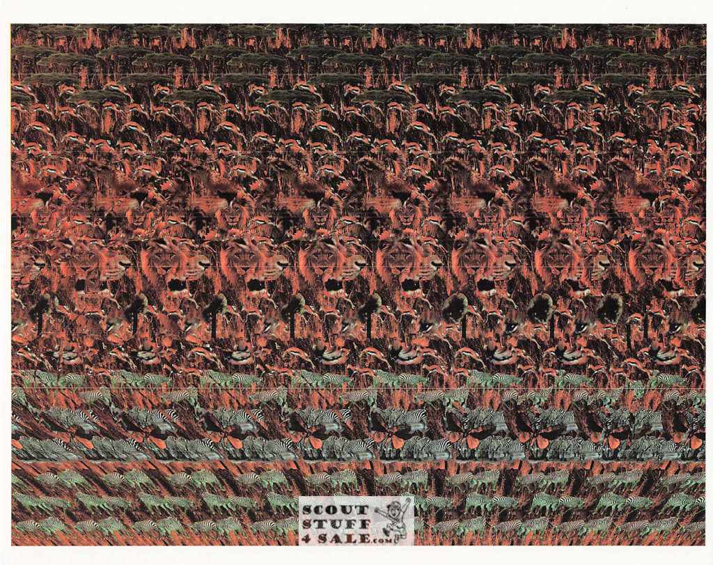Lions Magic Eye 3D Optical Illusion Postcard, Classico SF #528-058, 8x10"