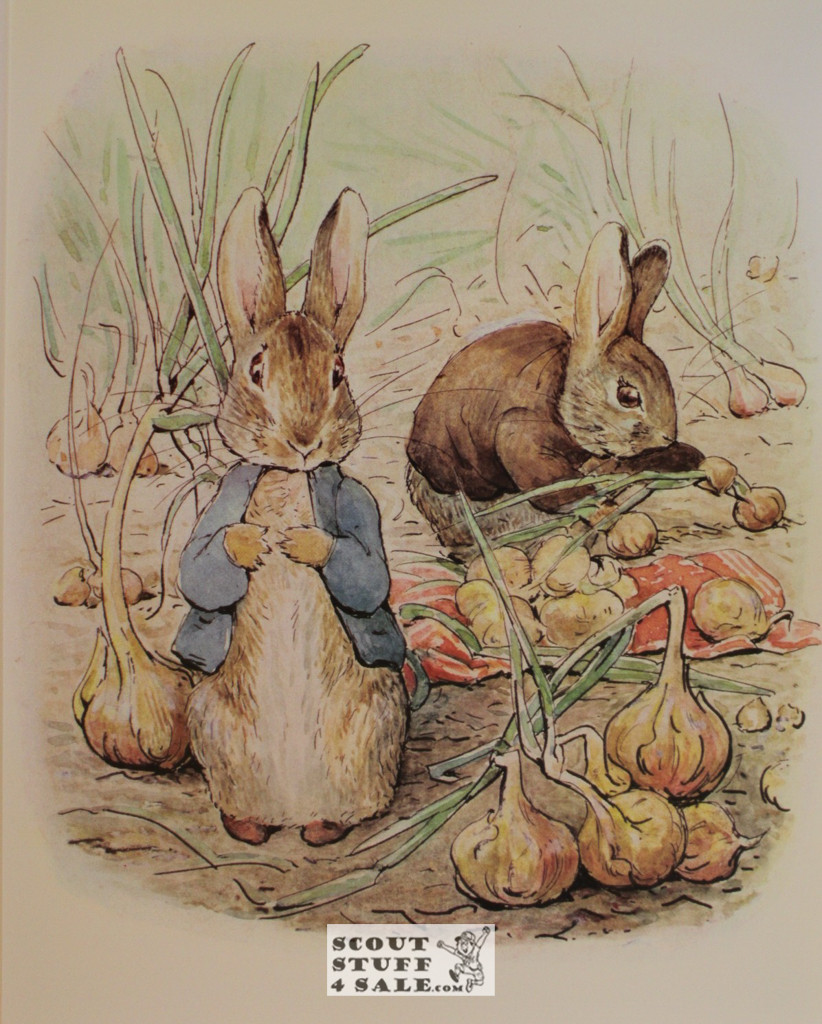 The Tale of Benjamin Bunny Beatrik Potter Poster Postcard by Classico SF #150-004, 11x14"