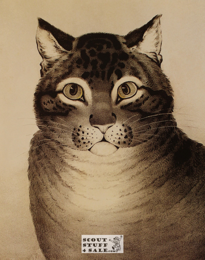 The Favorite Cat Painting Poster Postcard by Classico SF #194-008, 11x14"